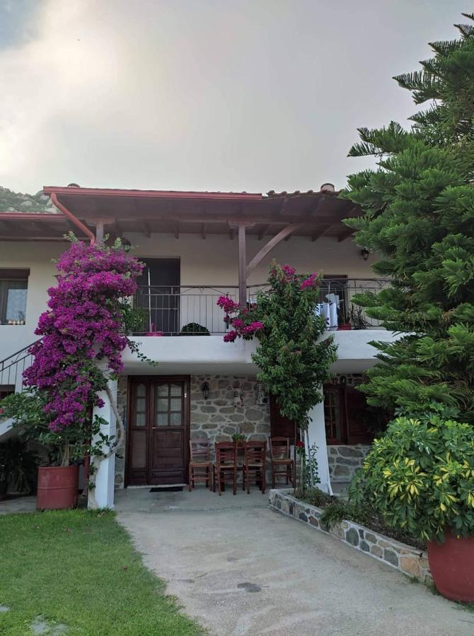 Sweet Home Sykia Chalkidikis Buitenkant foto