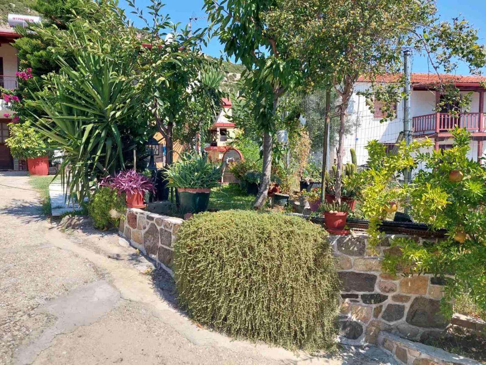 Sweet Home Sykia Chalkidikis Buitenkant foto